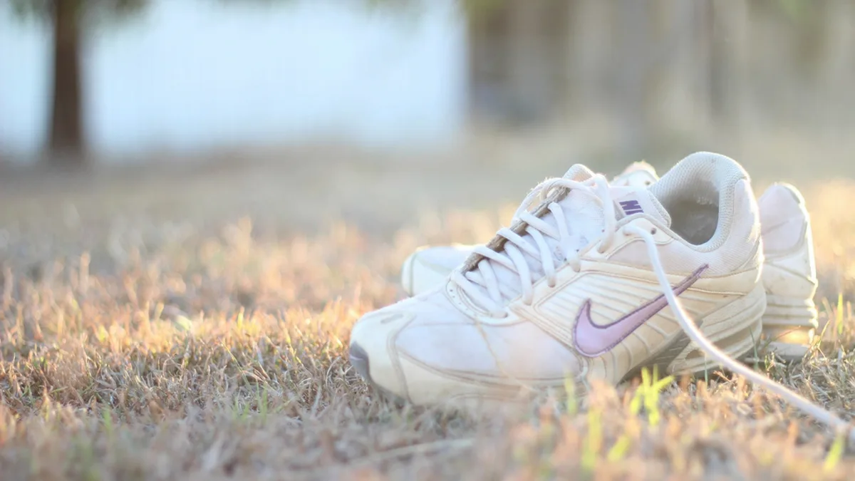 A pair of running shoes resting on sunlit golden grass