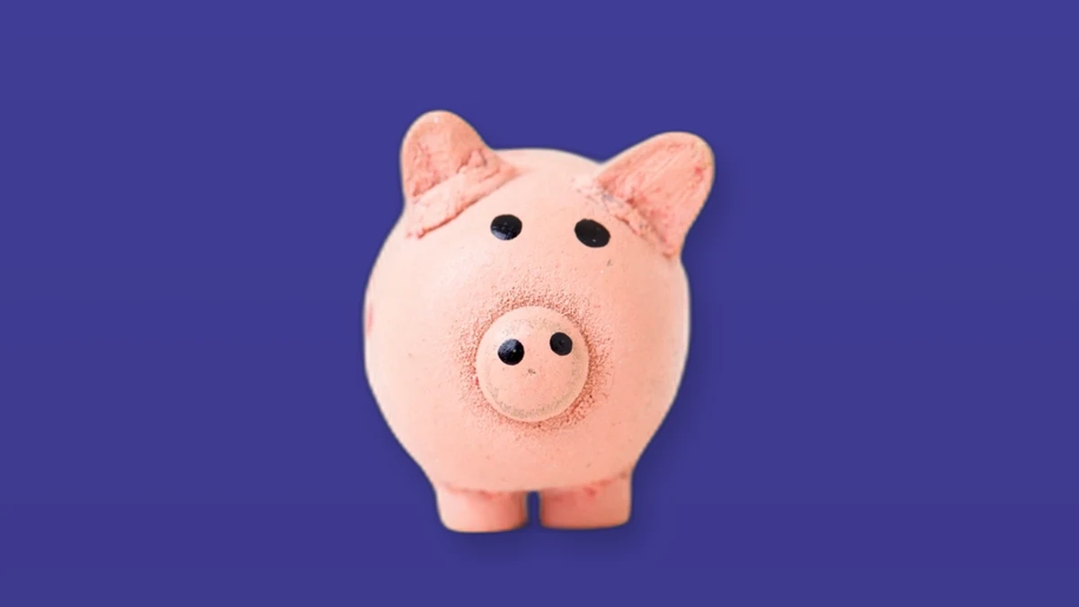 Photo illustration of a ceramic piggy bank on a colored background representing interest rates and savings