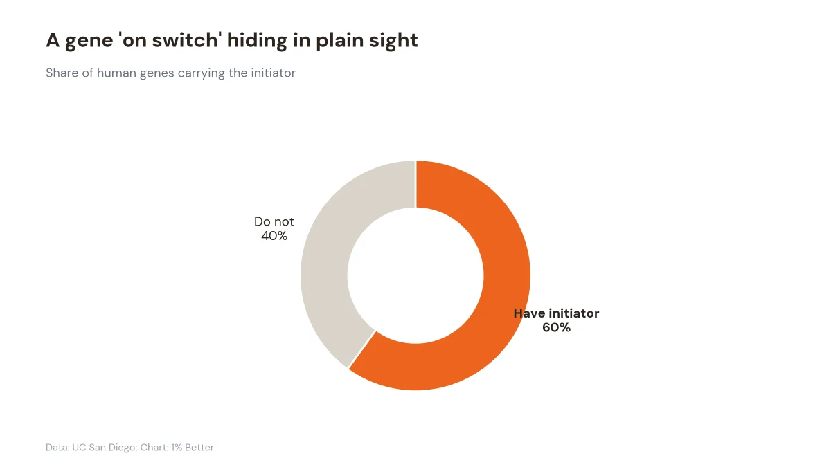 Donut chart showing about 60% of human genes carry the initiator switch and 40% do not