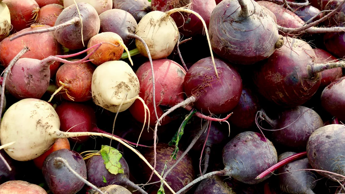 Fresh red, golden and white beetroots with stems piled together