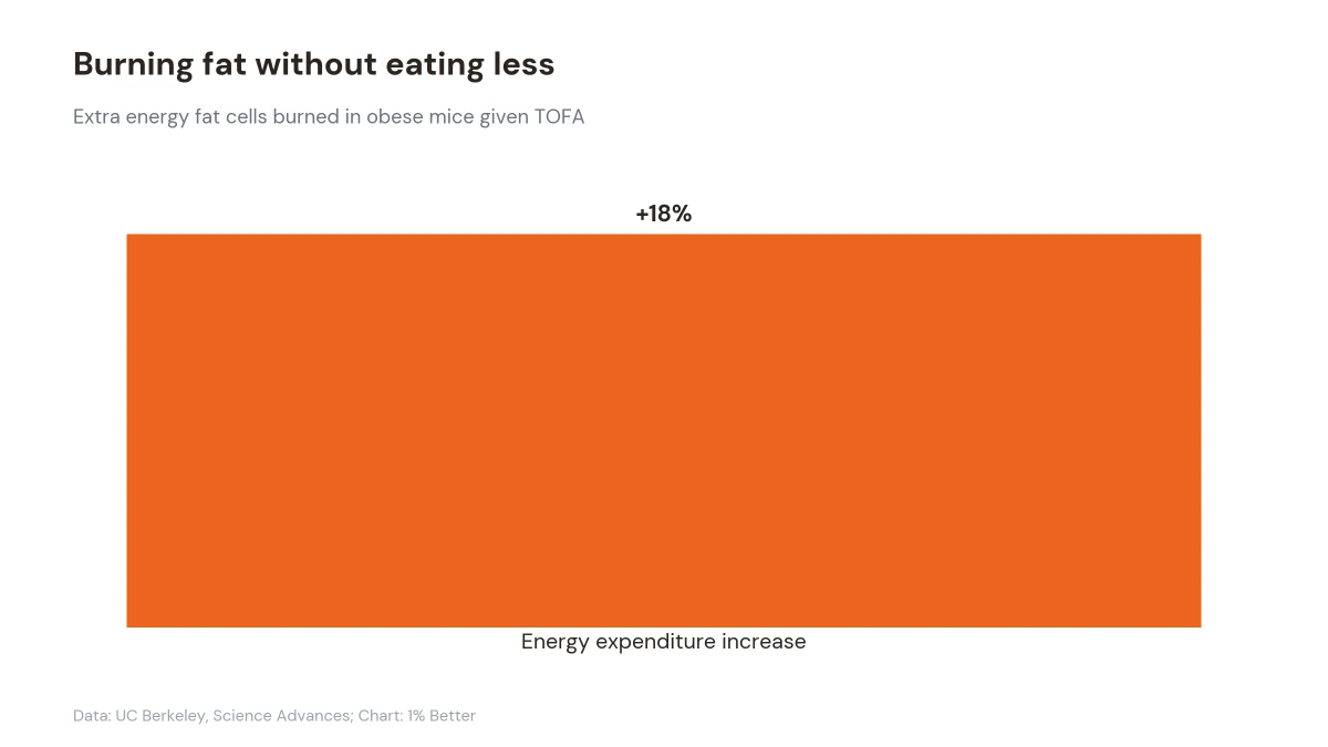 Bar chart showing fat cells in obese mice burned 18% more energy after treatment with the compound TOFA.