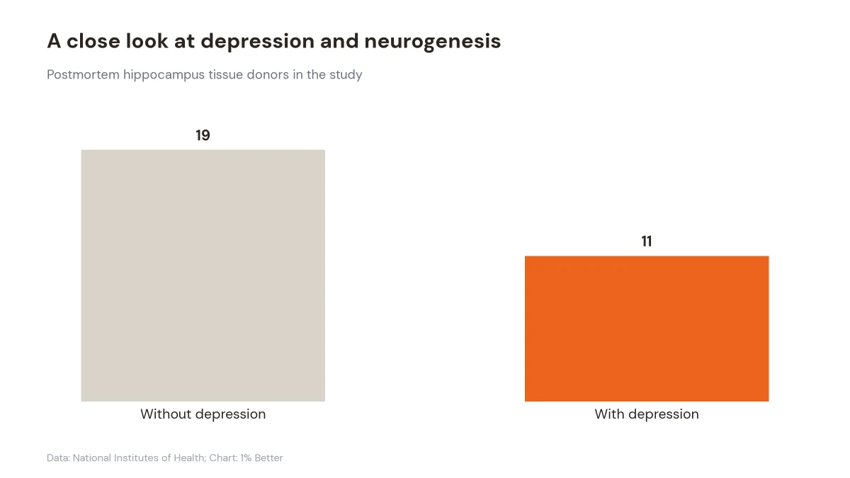 Bar chart showing 19 tissue donors without depression and 11 donors with depression