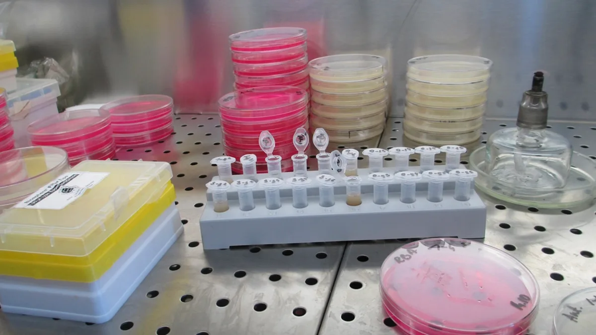 Stacked petri dishes and sample tubes on a microbiology laboratory bench