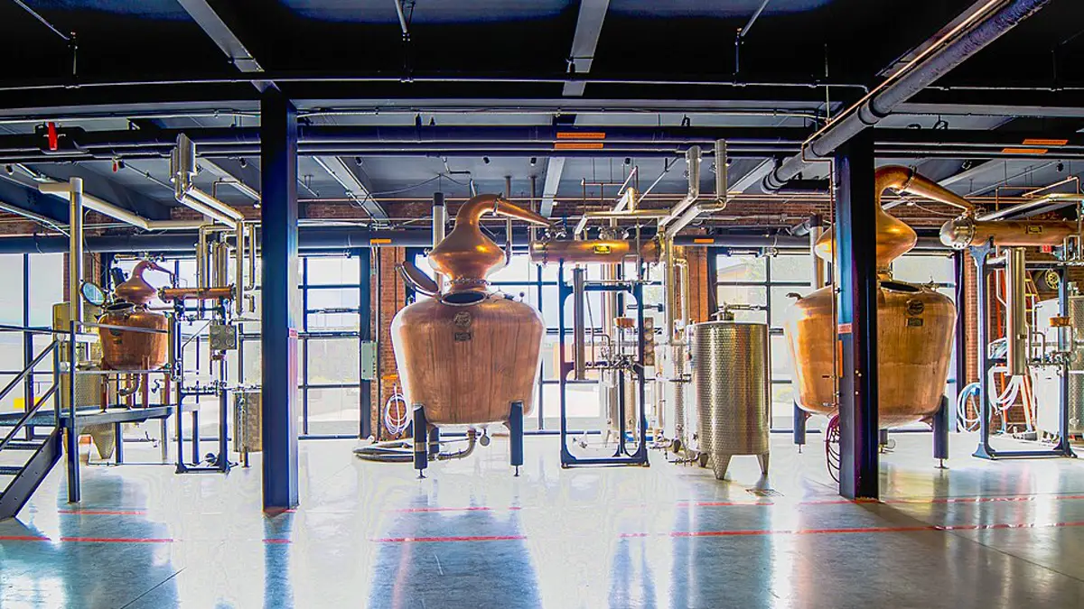 Two large copper pot stills with swan-neck lyne arms inside a distillery